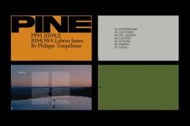 Brand identity presentation slides for PINE featuring typography layout and storyboard overview