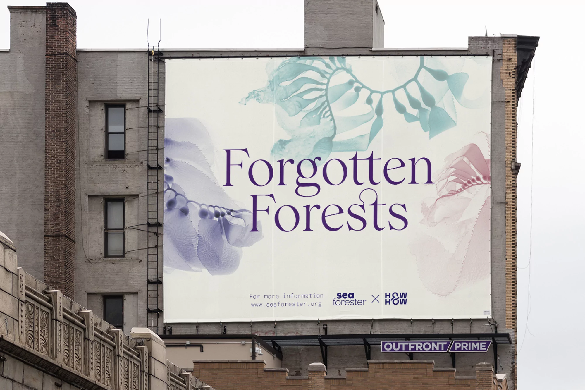 Outdoor billboard advertising campaign for Seaforester featuring kelp forest illustration and typography on a city building.