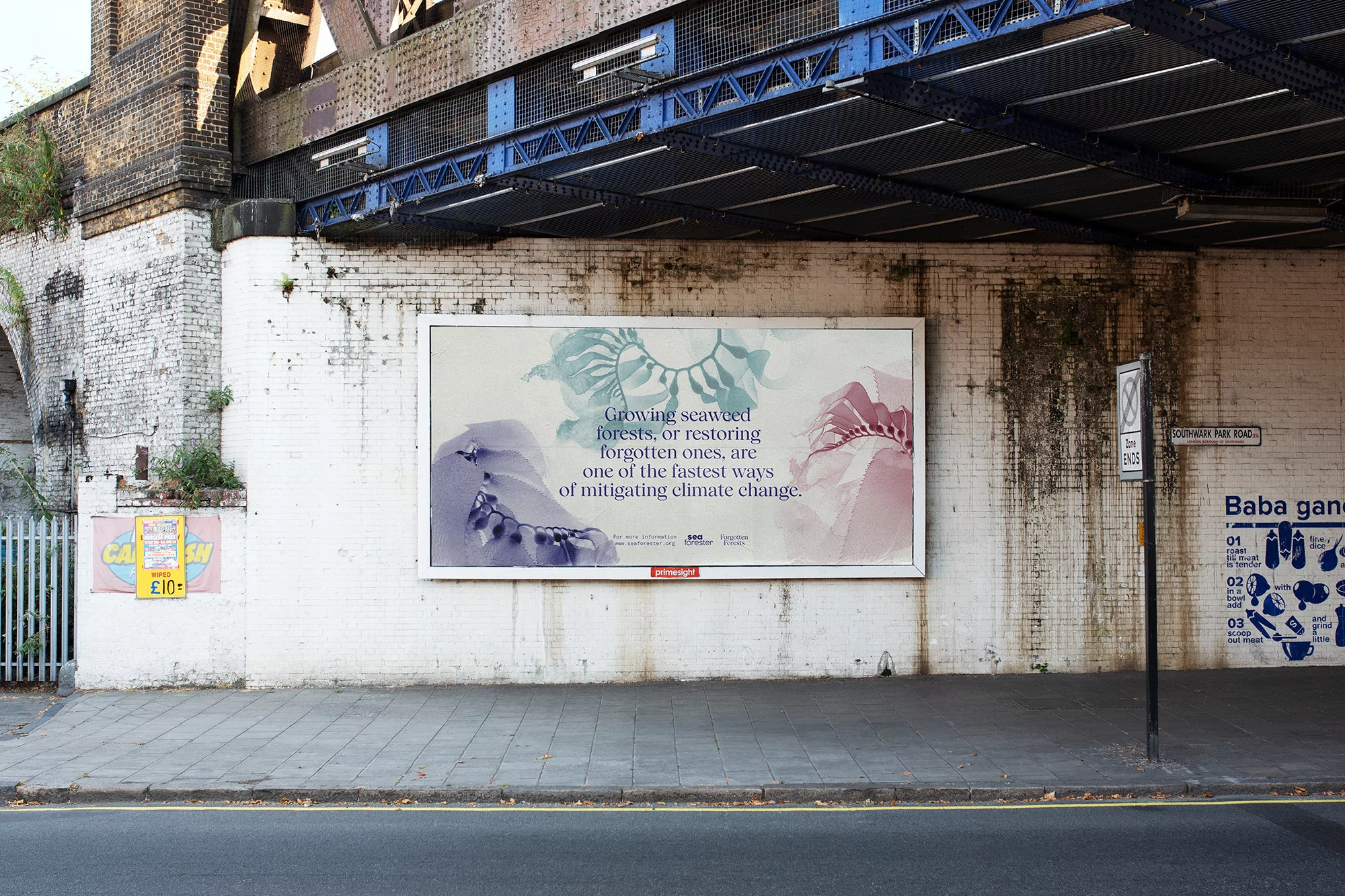 Outdoor billboard on a city street displays watercolour-style images of kelp and text promoting climate change mitigation.
