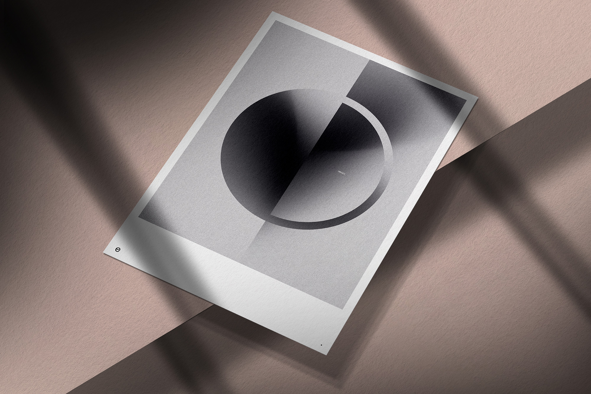 Printed graphic design poster featuring abstract circular geometric shapes resting on a textured pink surface with shadows.