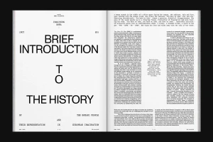 Spread of FEW Magazine featuring bold typography on the left page and dense editorial text on the right page.