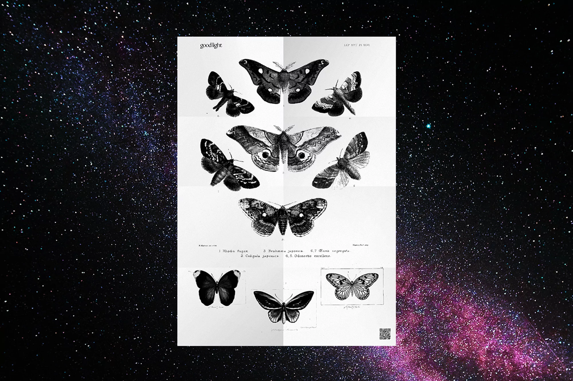 Vintage-style illustration of moths arranged on white folded paper, set against a dark space background with stars and nebulae.