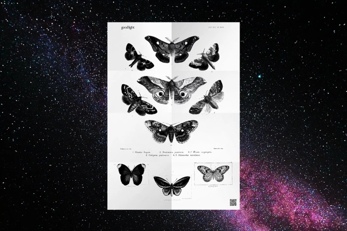 Vintage-style illustration of moths arranged on white folded paper, set against a dark space background with stars and nebulae.