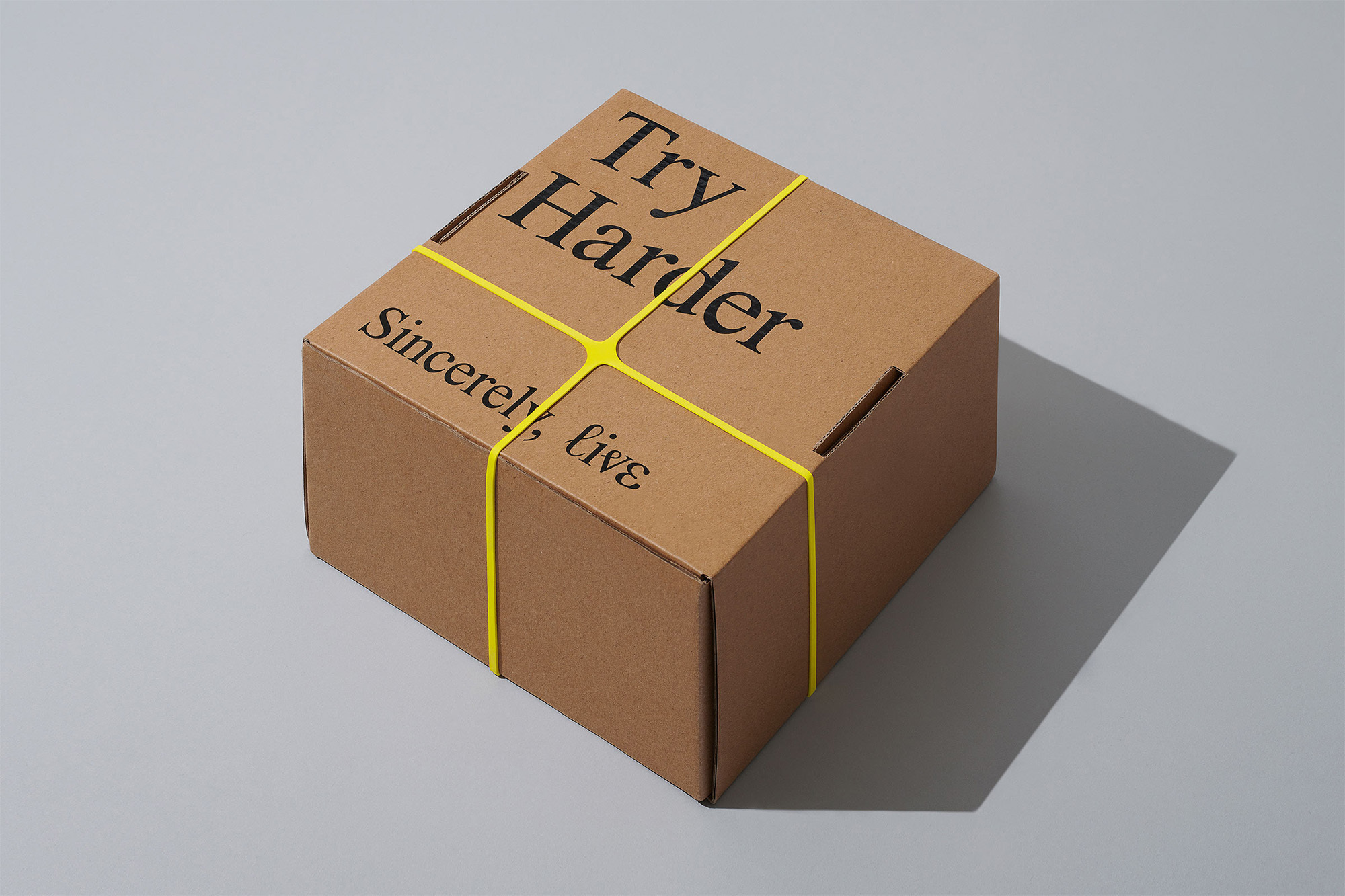 Brown cardboard box with black text reading 'Try Harder. Sincerely, live' secured with bright yellow rubber bands on light gray background.