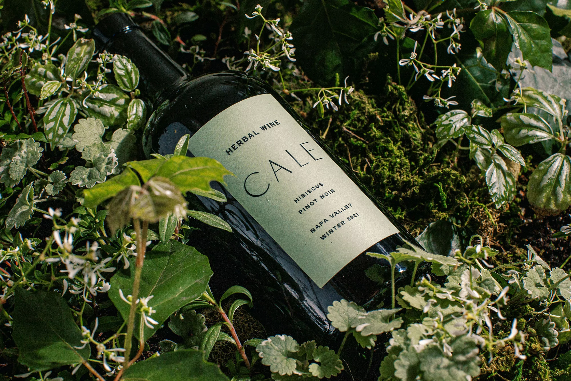 A bottle of Cale Herbal Wine is nestled in vibrant green foliage, creating a natural, organic feel that highlights the product's essence.