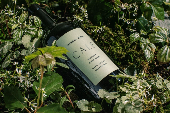 A bottle of Cale Herbal Wine is nestled in vibrant green foliage, creating a natural, organic feel that highlights the product's essence.
