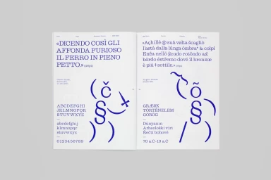 Open book spread displaying blue serif typography and abstract graphic figures on white pages against a grey background.