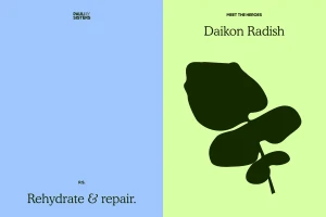 Graphic design brand identity featuring pastel blue and green panels with typography and a plant silhouette