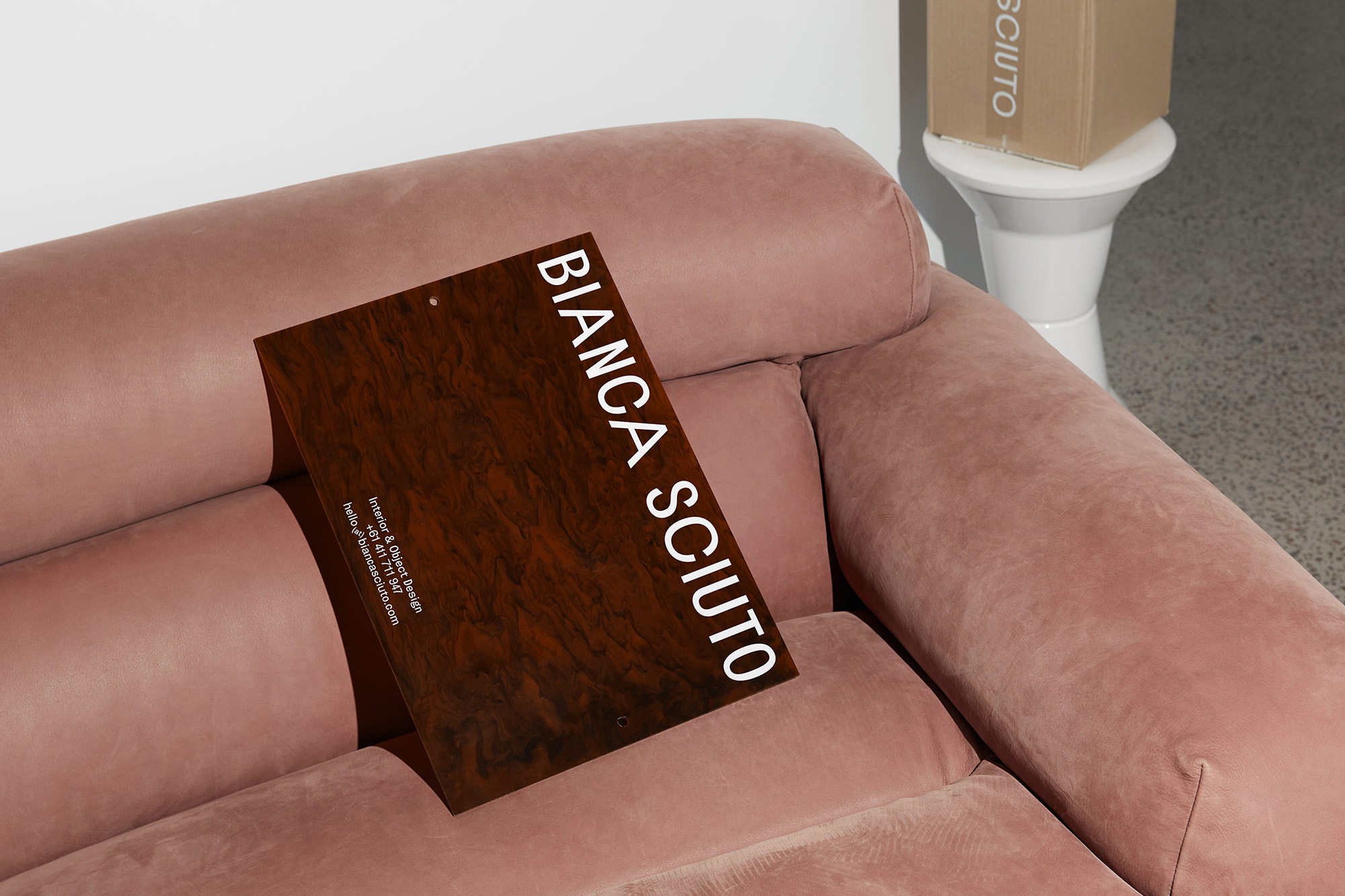 Interior design board featuring the brand name 'Bianca Sciuto' displayed on a pink velvet couch, set against a clean, neutral background.