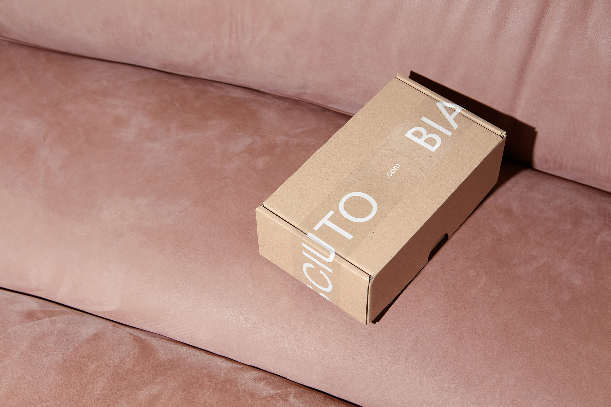 Tan cardboard shipping box on a pink velvet couch in soft lighting. The box displays a partial company name in white sans-serif text.
