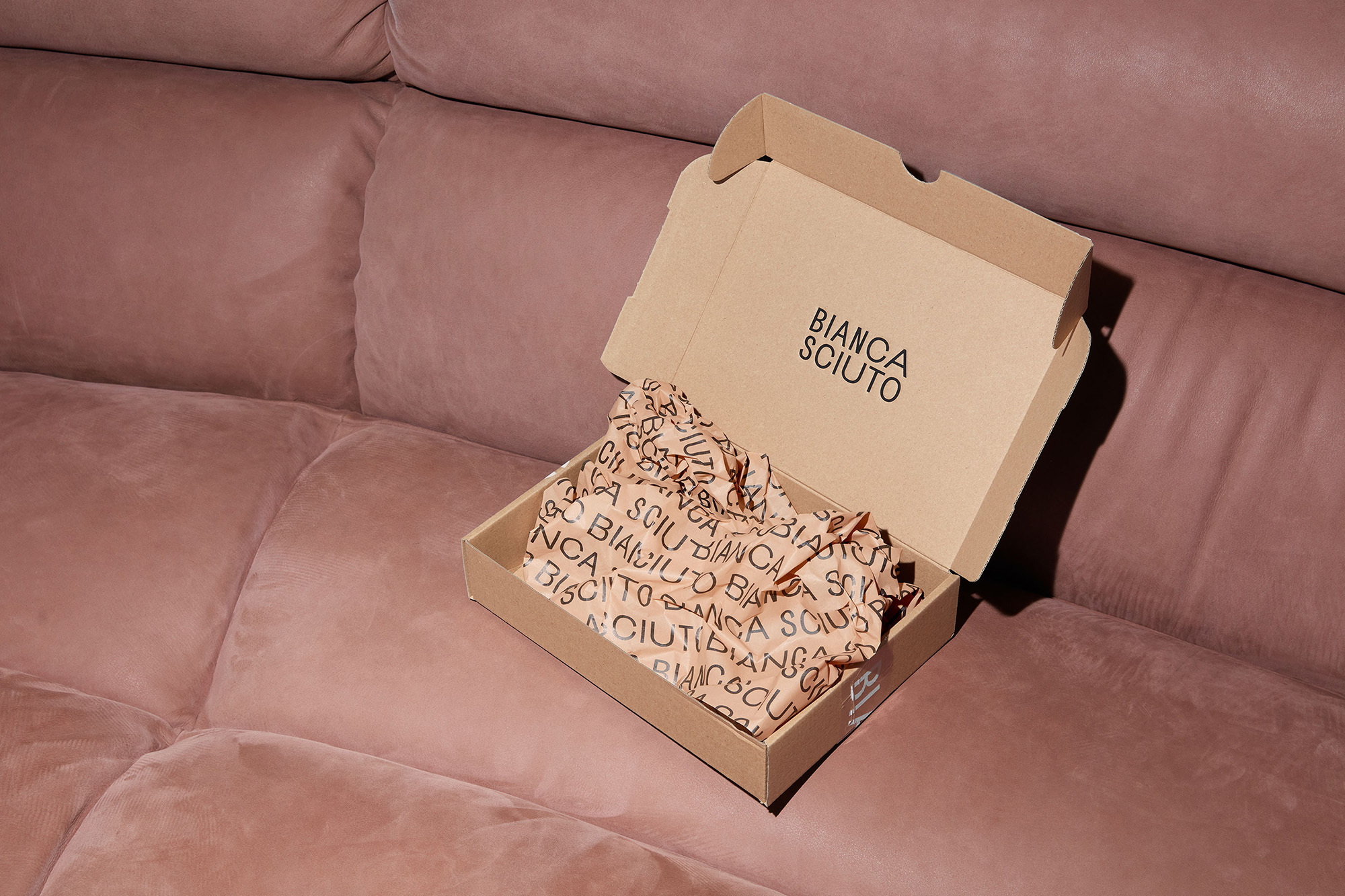 Open cardboard box with branded tissue paper, resting on a dusty rose velvet couch, in a studio shot with soft, indirect lighting.