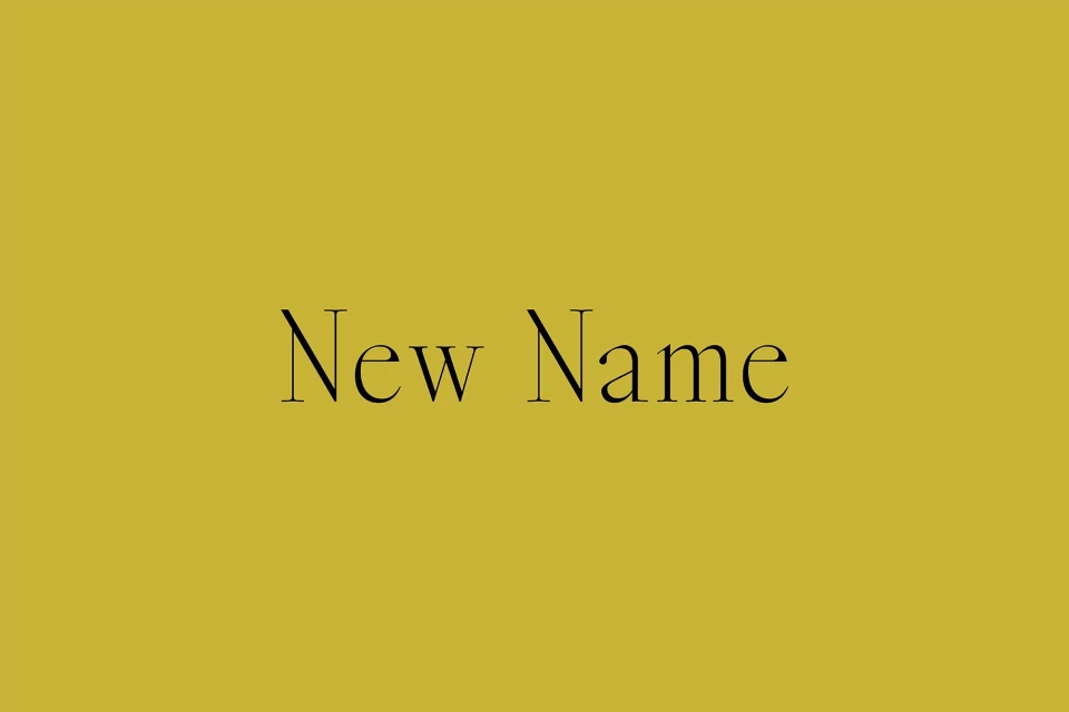Brand Identity