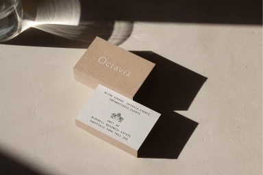Two business cards with textured cardstock resting on a pale concrete surface with strong sunlight casting shadows.