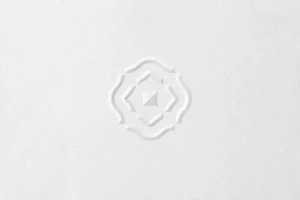 Close-up of a white textured paper surface with a raised embossed geometric medallion design in the centre.