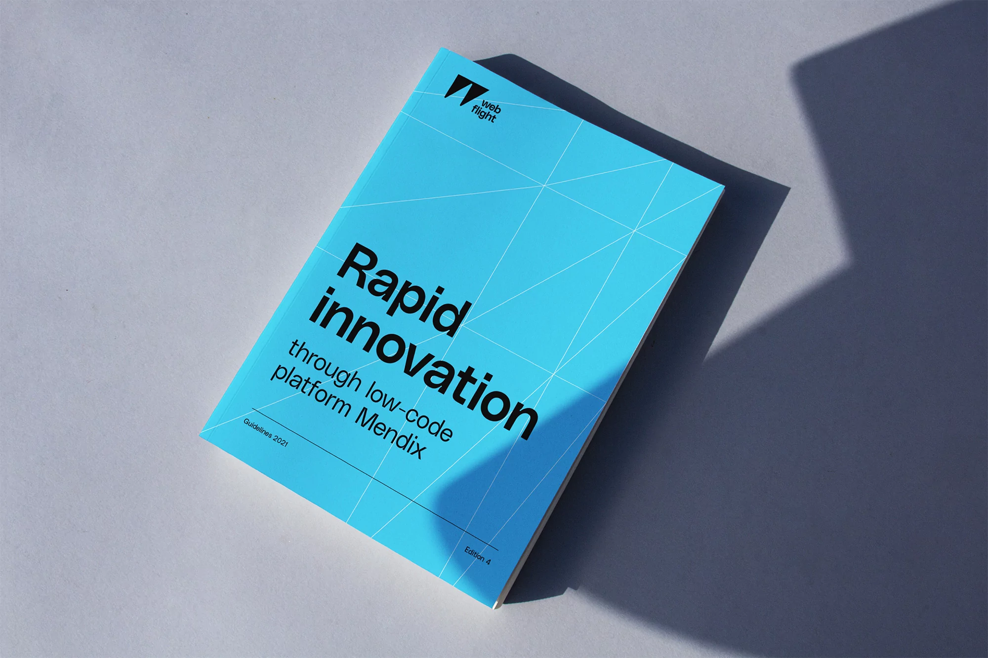Web Flight's 'Rapid Innovation' guide featuring a light blue cover with black text, geometric line design, and visible shadow.