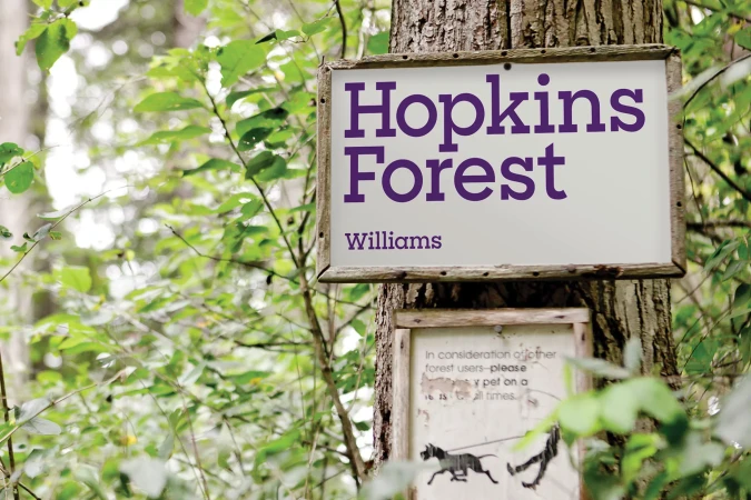Hopkins Forest sign mounted on a tree trunk in a forest. Purple text on a white sign, surrounded by green foliage. Educational signage.