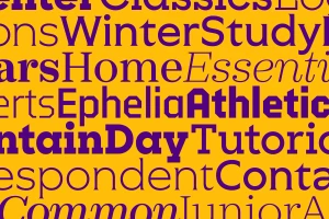 Typography layout with purple words on yellow background for Williams College brand identity by Order and Sharp Type
