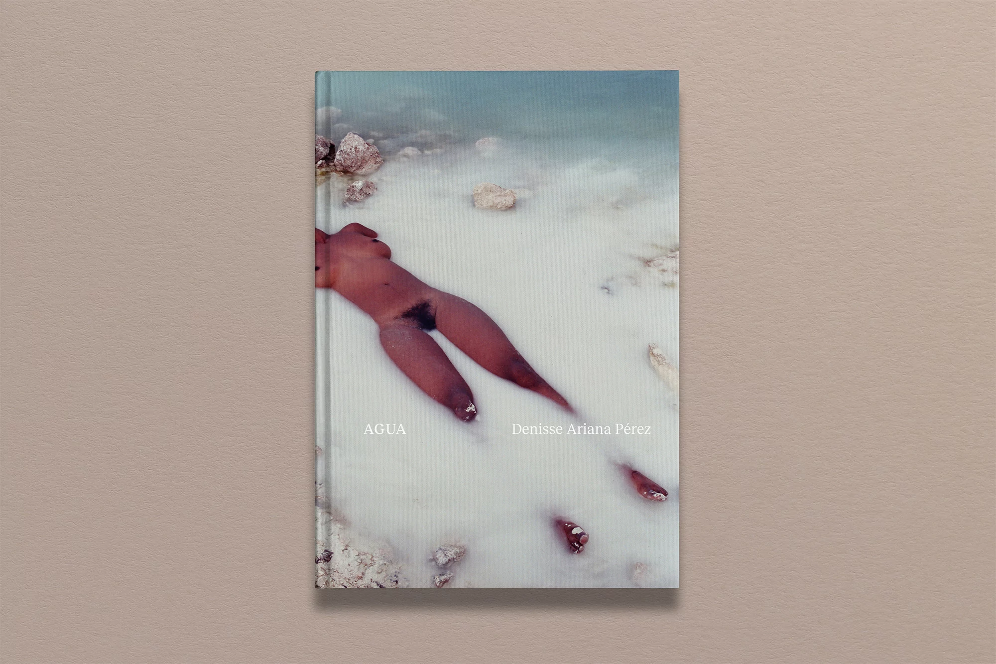 Book cover features nude human form partially submerged in milky water near pale rocks. Book title: AGUA, by Denisse Ariana Pérez.
