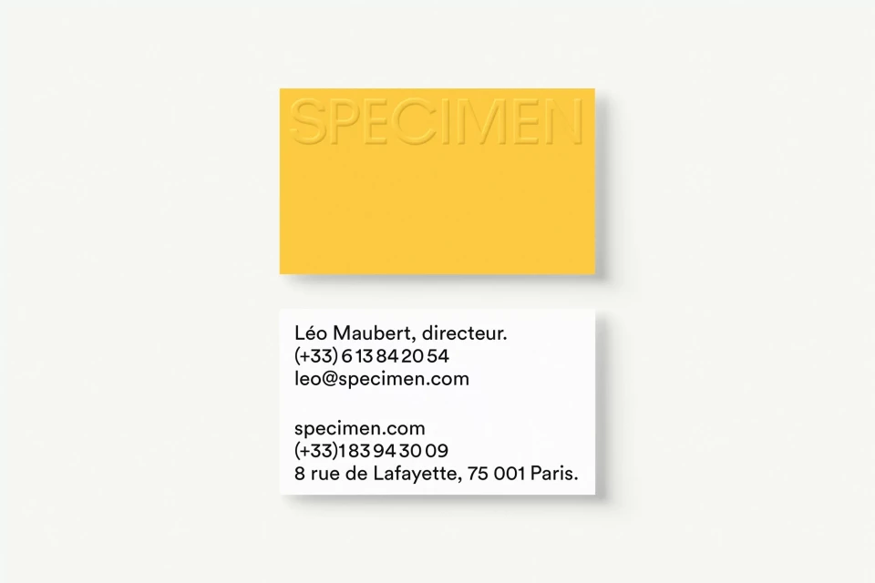 Brand Identity