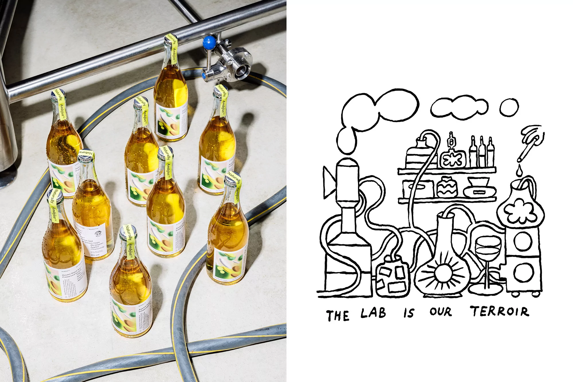 Nine bottles of amber liquid with fruit labels are arranged on a concrete surface with metal pipes and a black-and-white lab illustration.