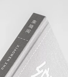 Close-up of a grey hardcover book spine with white debossed Chinese and English typography against a white background