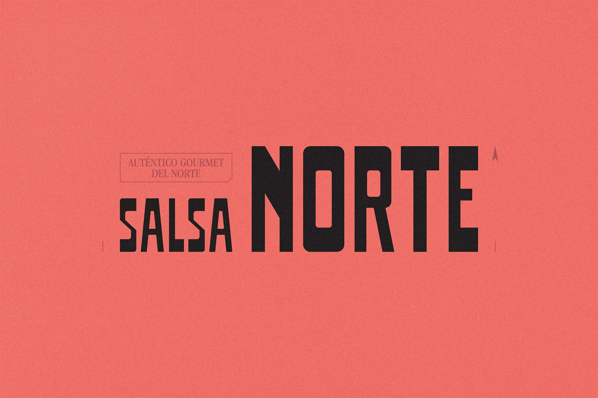Salsa Norte text design. A stylized design of the words 'Salsa Norte' and 'Autentico Gourmet Del Norte' against a salmon colored background.