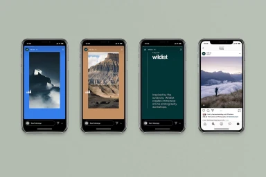 Four smartphones displaying a brand identity design layout on a muted green backdrop