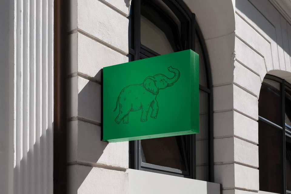 Brand Identity