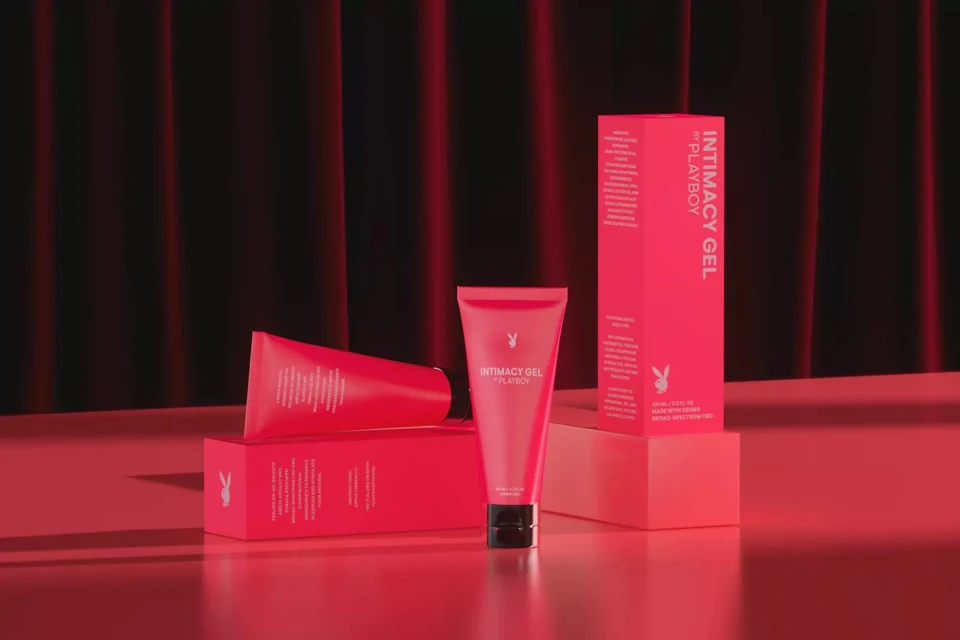 Brand Identity