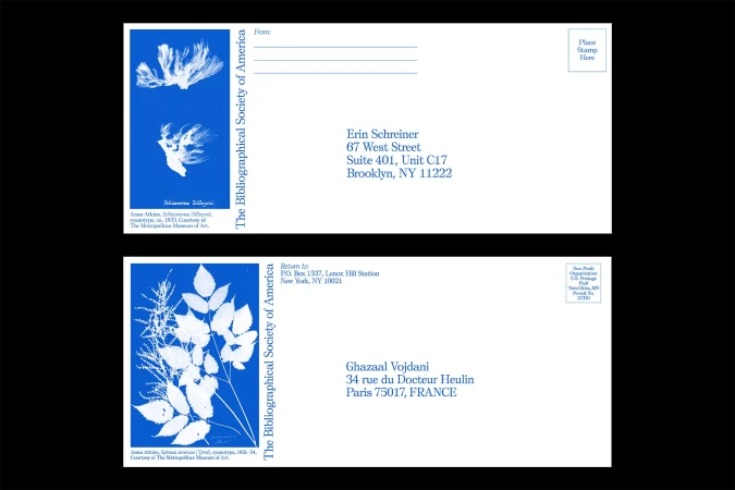 Two postcards featuring cyanotype prints of plants and address information for Erin Schreiner and Ghazaal Vojdani, and The Bibliographical Society of America.