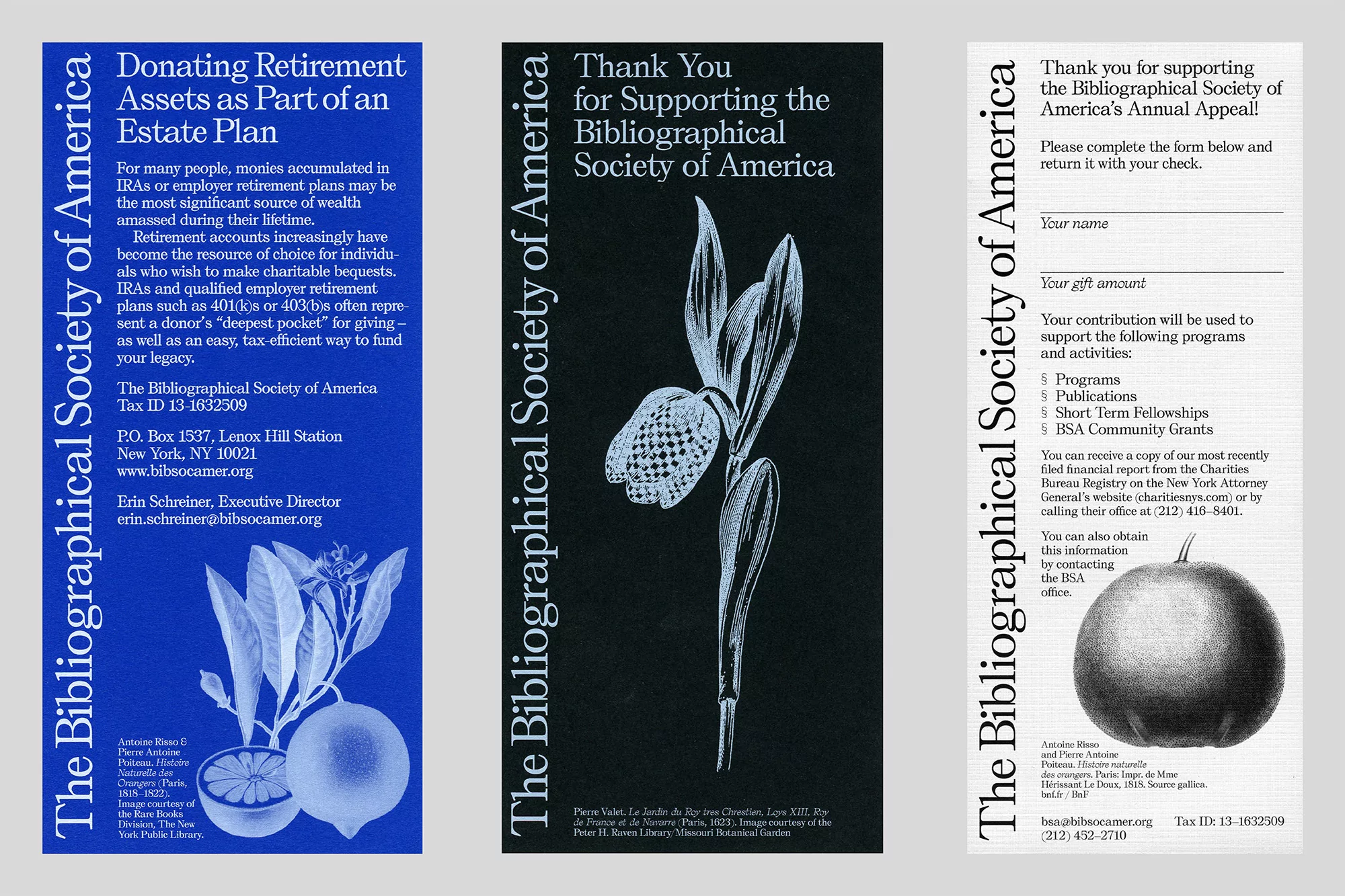 Three illustrated pamphlets from The Bibliographical Society of America featuring text, illustrative graphics, and organization information.