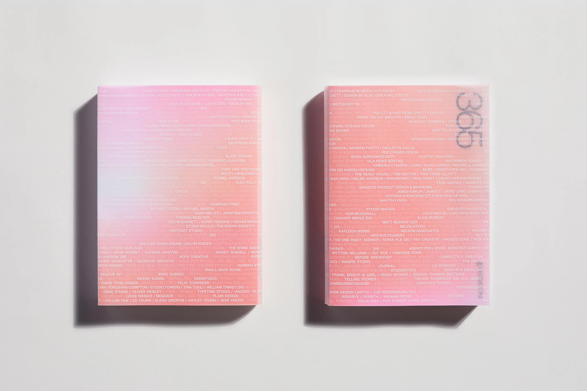 Two booklets sit side-by-side on a white surface, with ombre coloring and dense text, creating a visually layered and informative presentation.