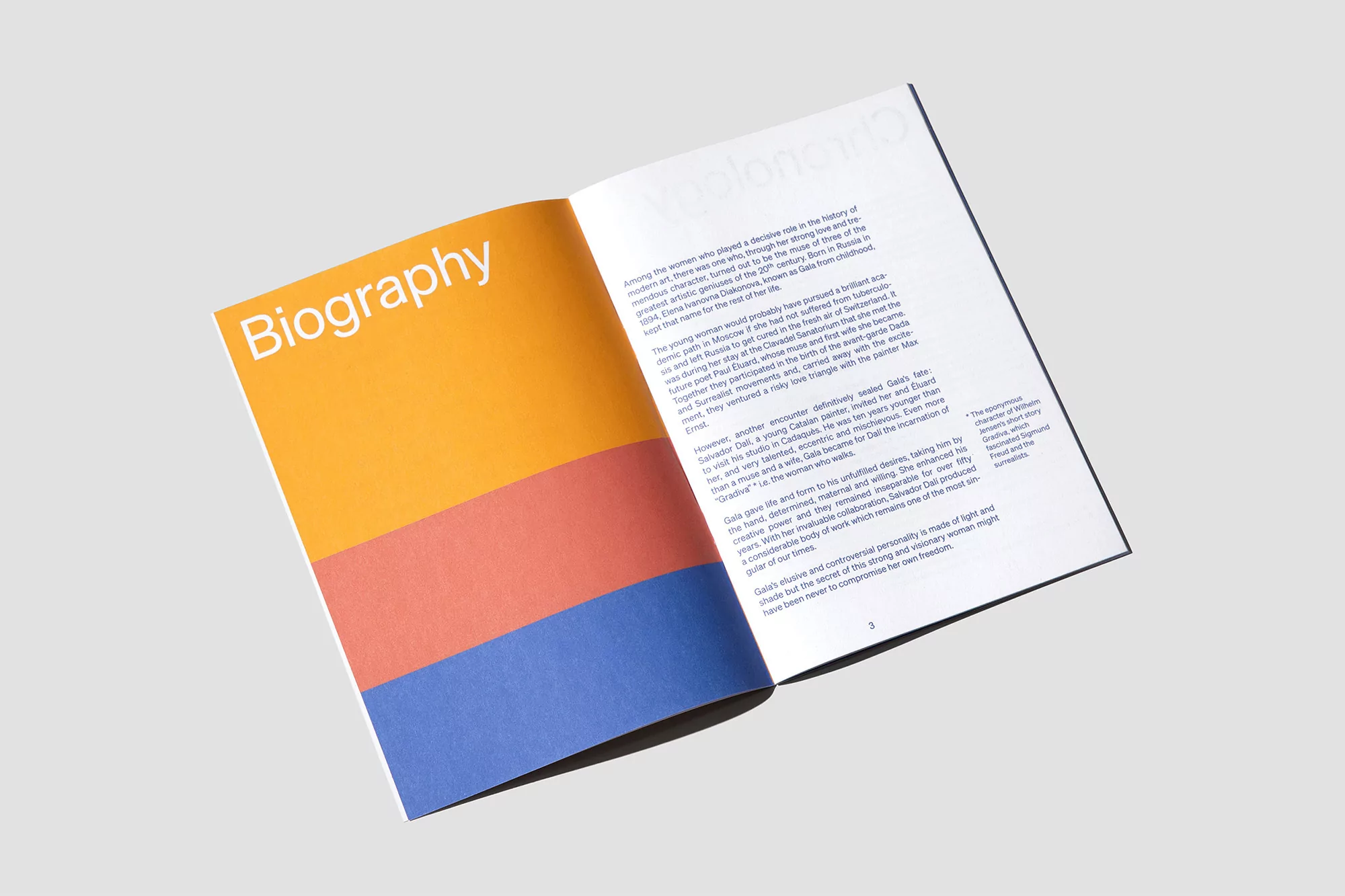Open book with a colorful graphic and text. The book is on a white surface, with a section titled "Biography" visible.