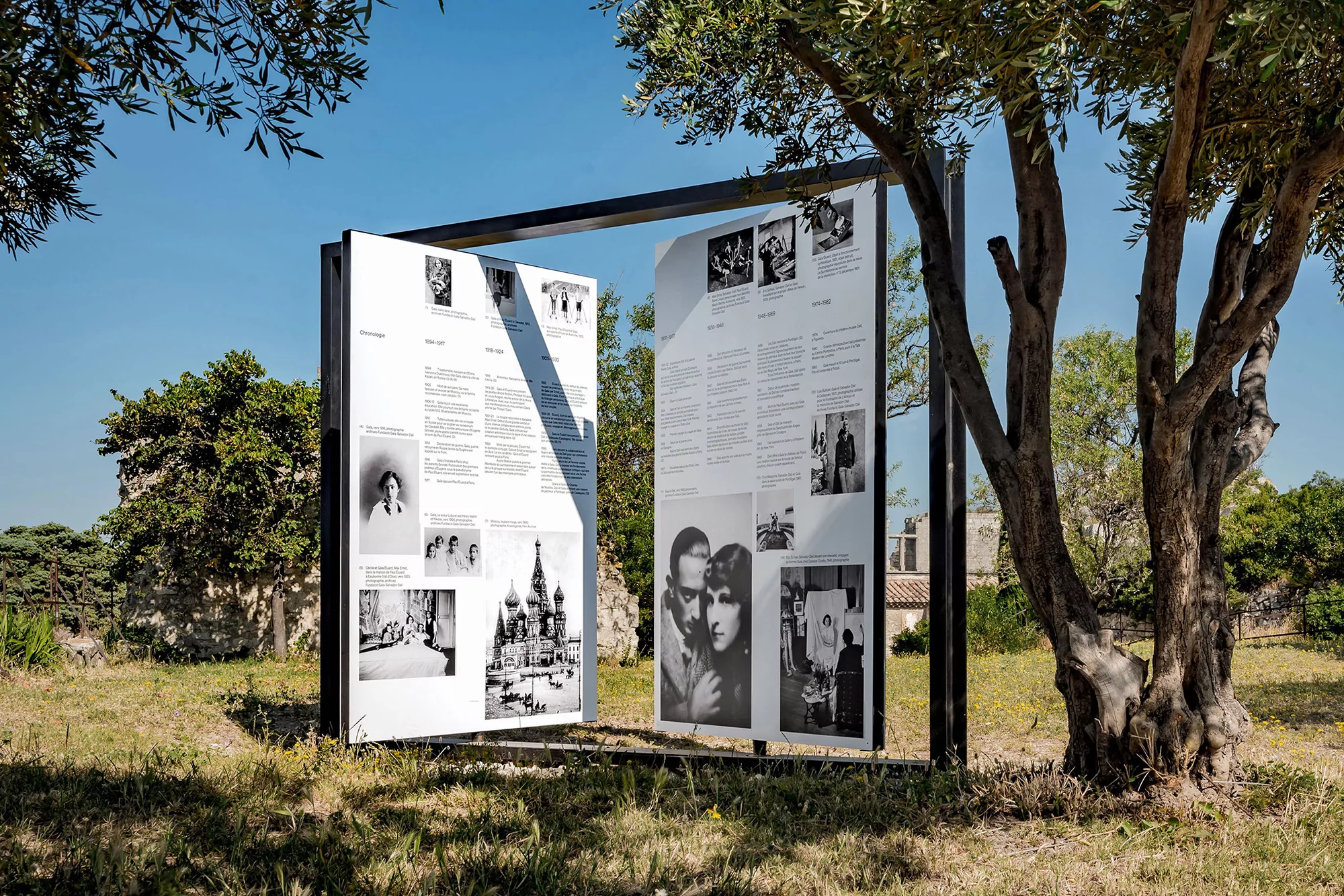 Outdoor display featuring black and white vintage photographs on white panels, framed by trees and a blue sky, in a grassy field.