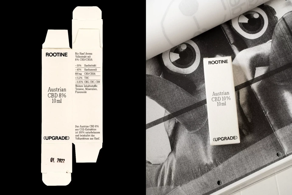 Brand Identity