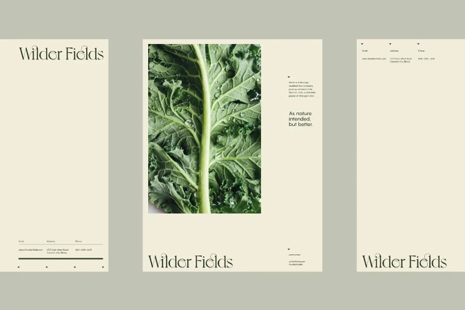 Graphic design featuring a close-up of a vibrant kale leaf alongside company information, presented on a cream-colored background.