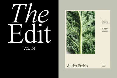 A split composition featuring large white editorial typography on black and a cream poster with a macro leaf image and Wilder Fields branding.