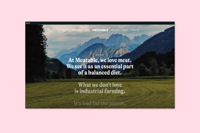 Website for Meatable showing a mountain landscape and the text 'At Meatable, we love meat. We see it as an essential part of a balanced diet.'