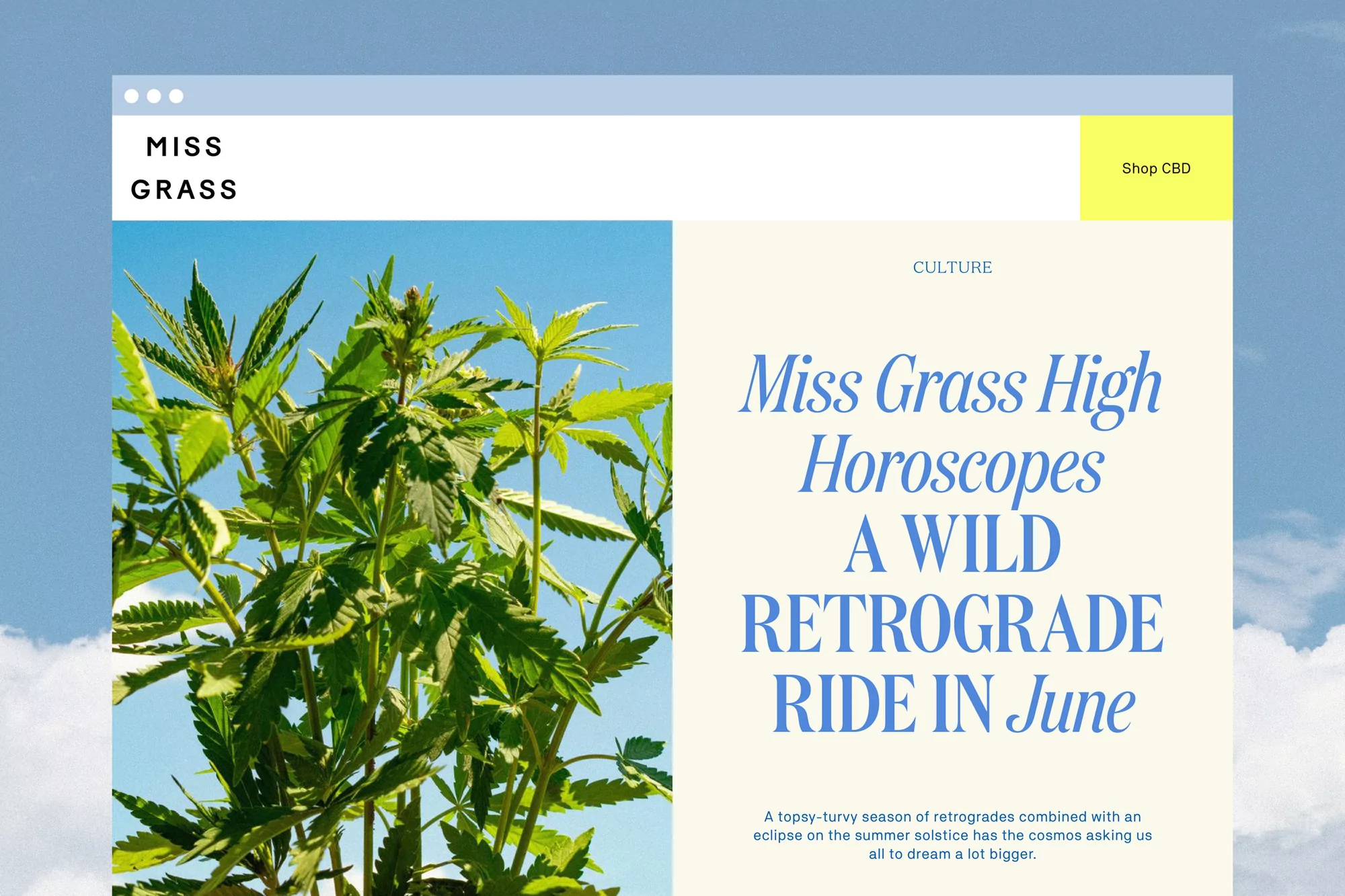 Website shot featuring a vibrant cannabis plant against a blue sky, alongside 'Miss Grass' branding and a 'Shop CBD' call to action.