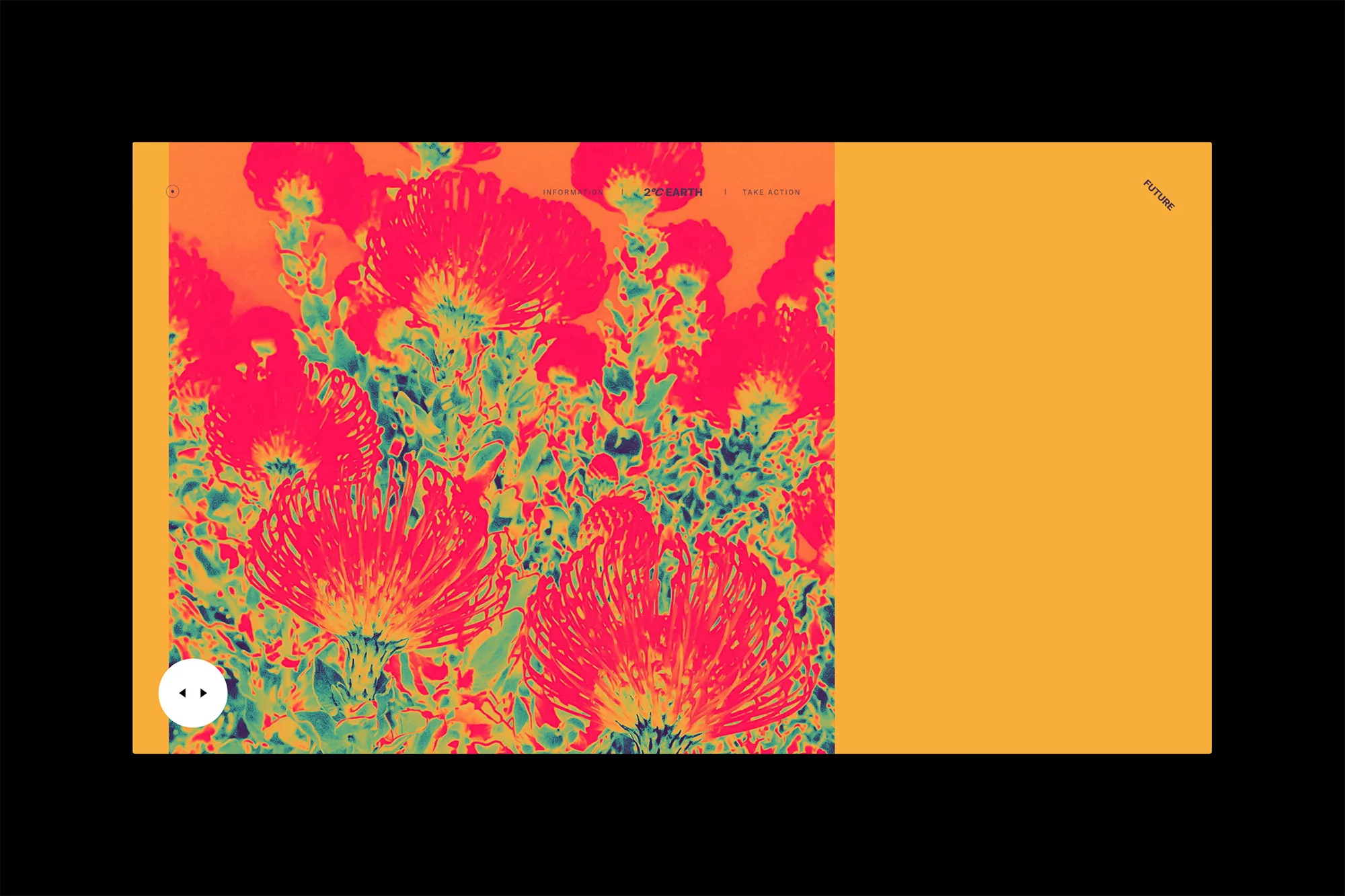 Abstract floral design in orange, red, and green featuring vibrant, stylized flowers with unique patterns against a bright, solid background.