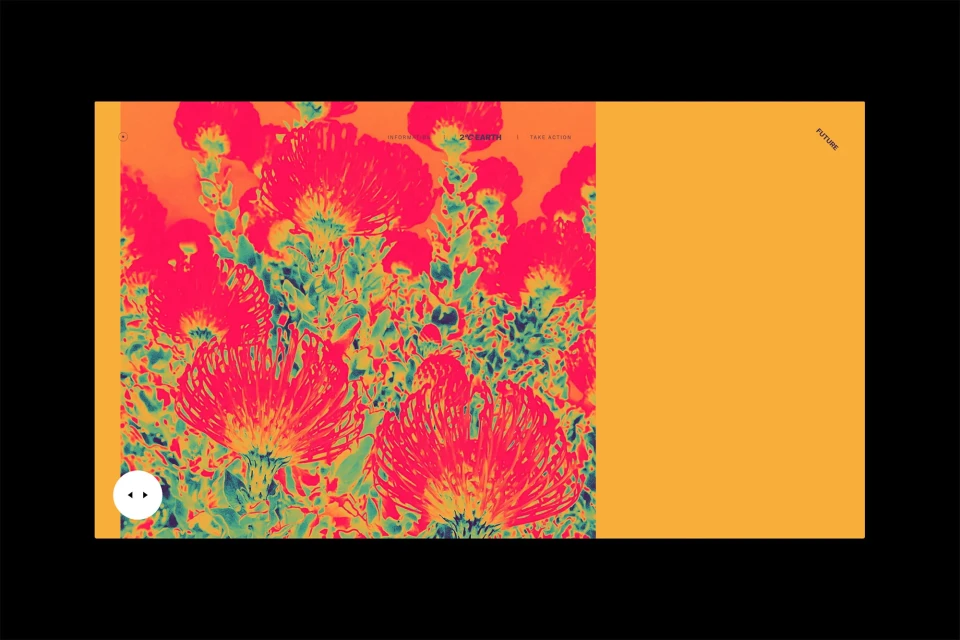 Abstract floral design in orange, red, and green featuring vibrant, stylized flowers with unique patterns against a bright, solid background.