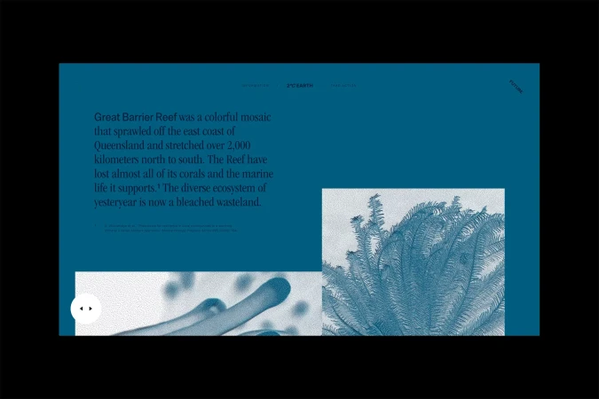 Conceptual website design showing coral reefs and textual information, in blue tones, presenting environmental topics.
