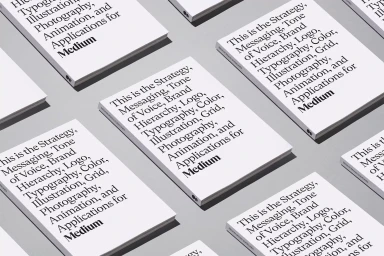 Multiple identical brand identity books with black typography on white covers arranged diagonally on a light grey background.