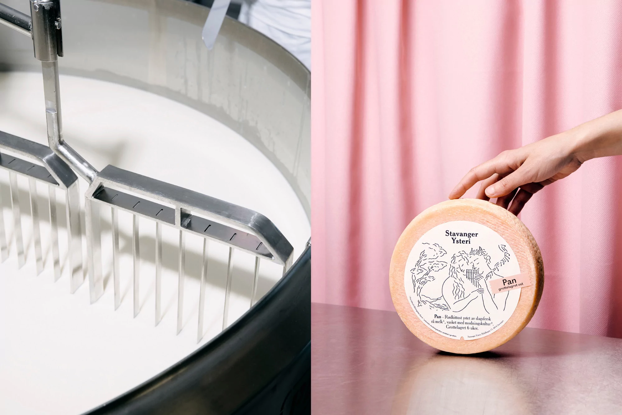 Cheese-making process and round of Stavanger Ysteri Pan cheese displayed against a pink curtain, commercial food photography.