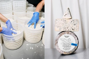 Split view of gloved hands pressing curd in white baskets and stacked blue cheese wheels for Stavanger Ysteri brand identity