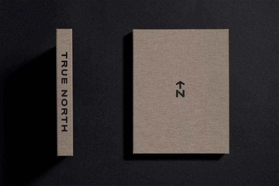Brand Identity