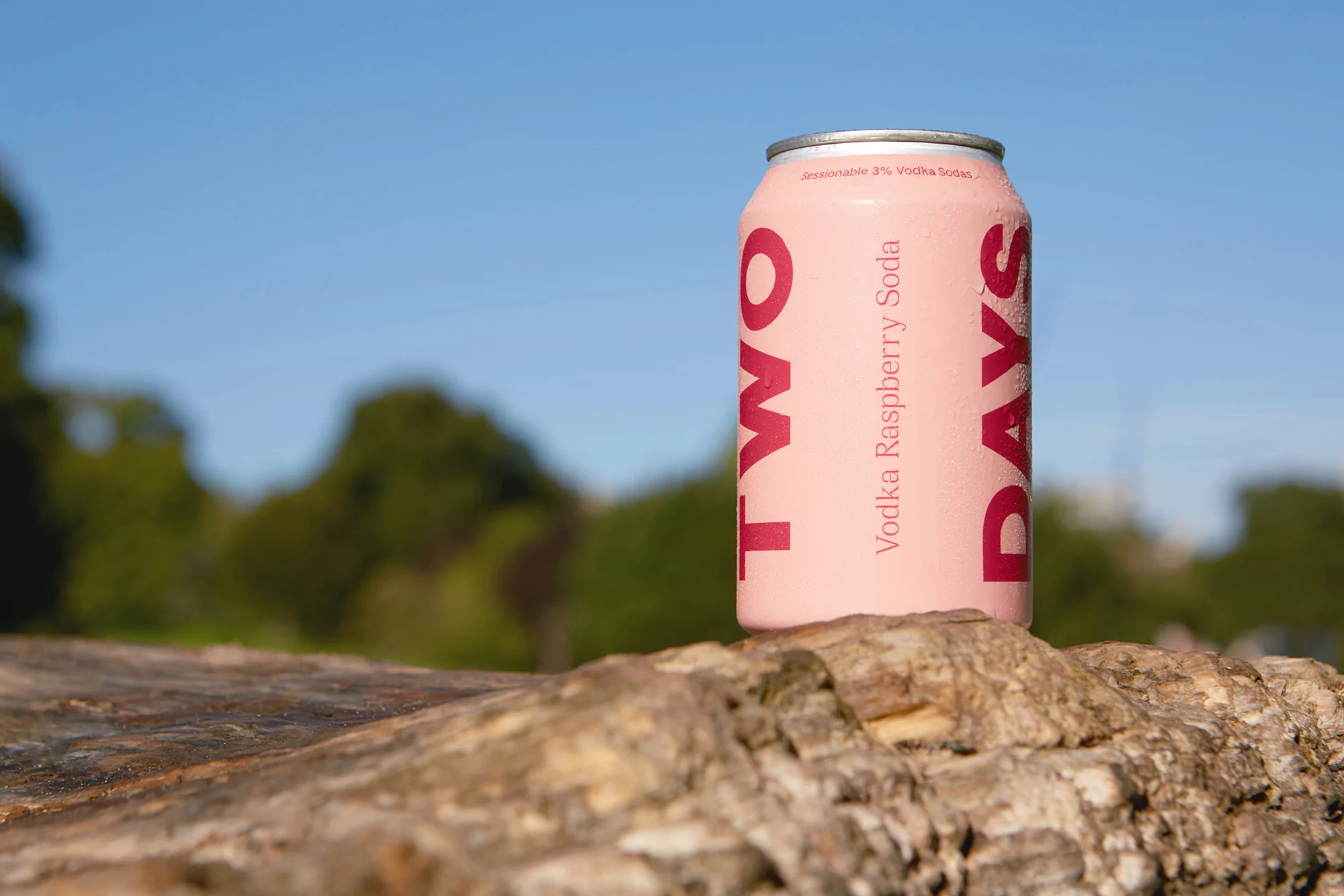 Pink can of Two Days Vodka Raspberry Soda sitting on a tree stump outdoors, featuring a blue sky and green foliage in the background.