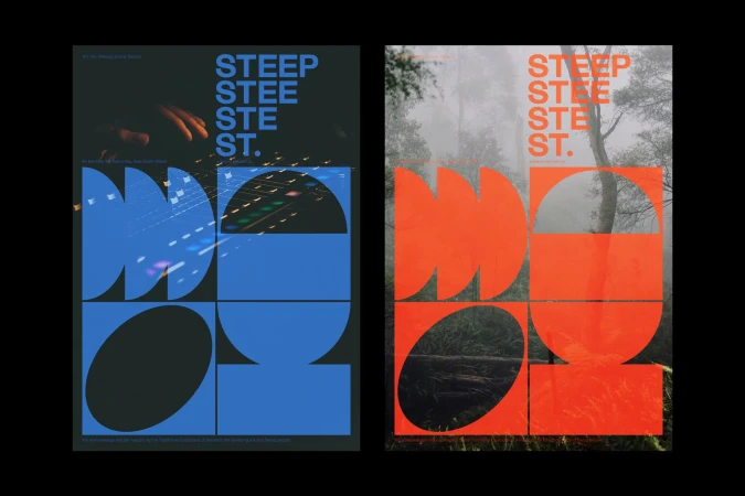Two modern art posters side by side. One shows a musician's hands, the other shows a misty forest, both with bright geometric graphics.