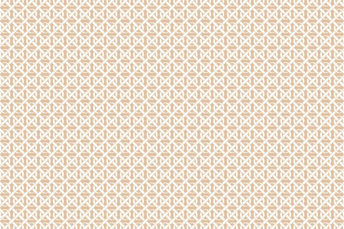 Brand Identity