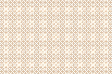 Geometric interlocking circle pattern in white on a warm camel brown background for Oroton brand identity